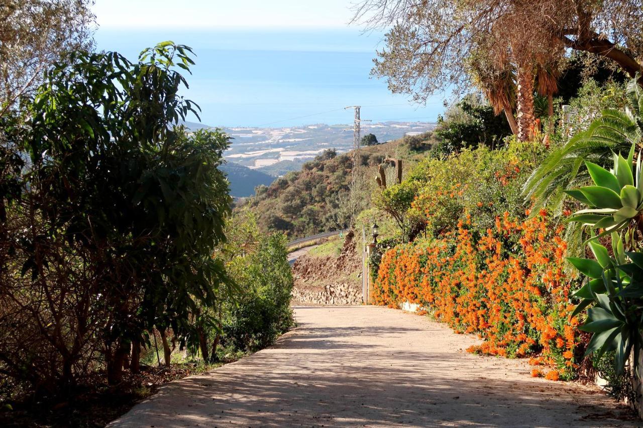 Villa Los Naranjos Саялонга Экстерьер фото