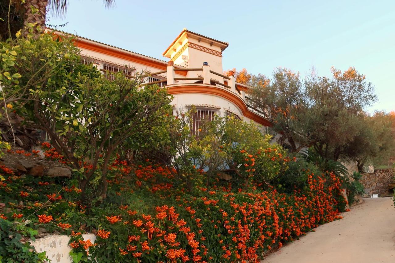 Villa Los Naranjos Саялонга Экстерьер фото