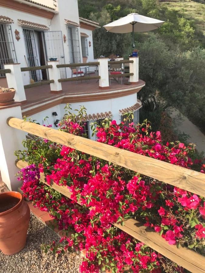 Villa Los Naranjos Саялонга Экстерьер фото