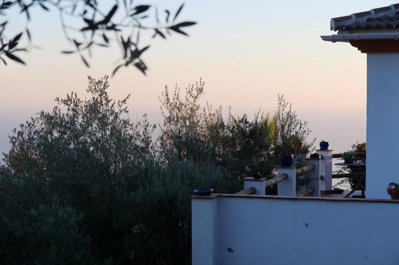 Villa Los Naranjos Саялонга Экстерьер фото